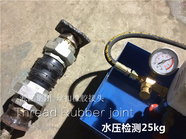 zyF(xin)DN50zz^p_(d)25kg